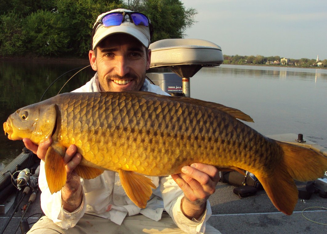 Susquehanna River Fly Fishing and Spin Fishing Guide Service for Carp