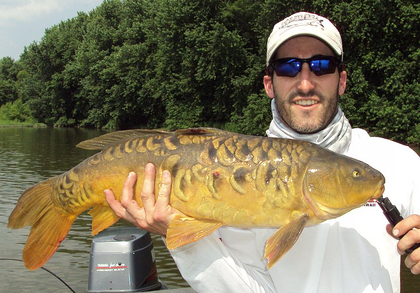 Susquehanna River Fly Fishing and Spin Fishing Guide Service for Carp